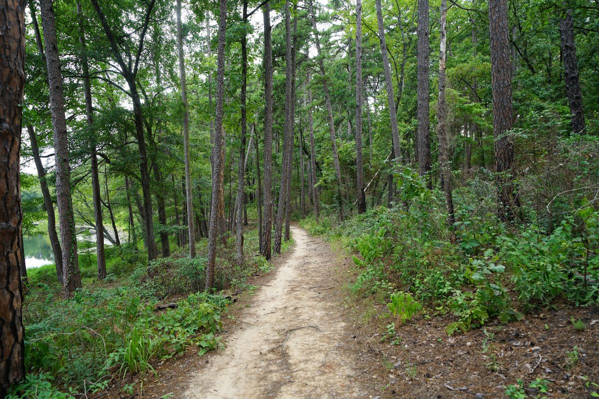 san antonio northeast trails